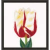 Thea Gouverneur Flamed Tulip Counted Cross-Stitch Kit