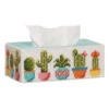 Herrschners Potted Succulents Tissue Box Plastic Canvas Kit